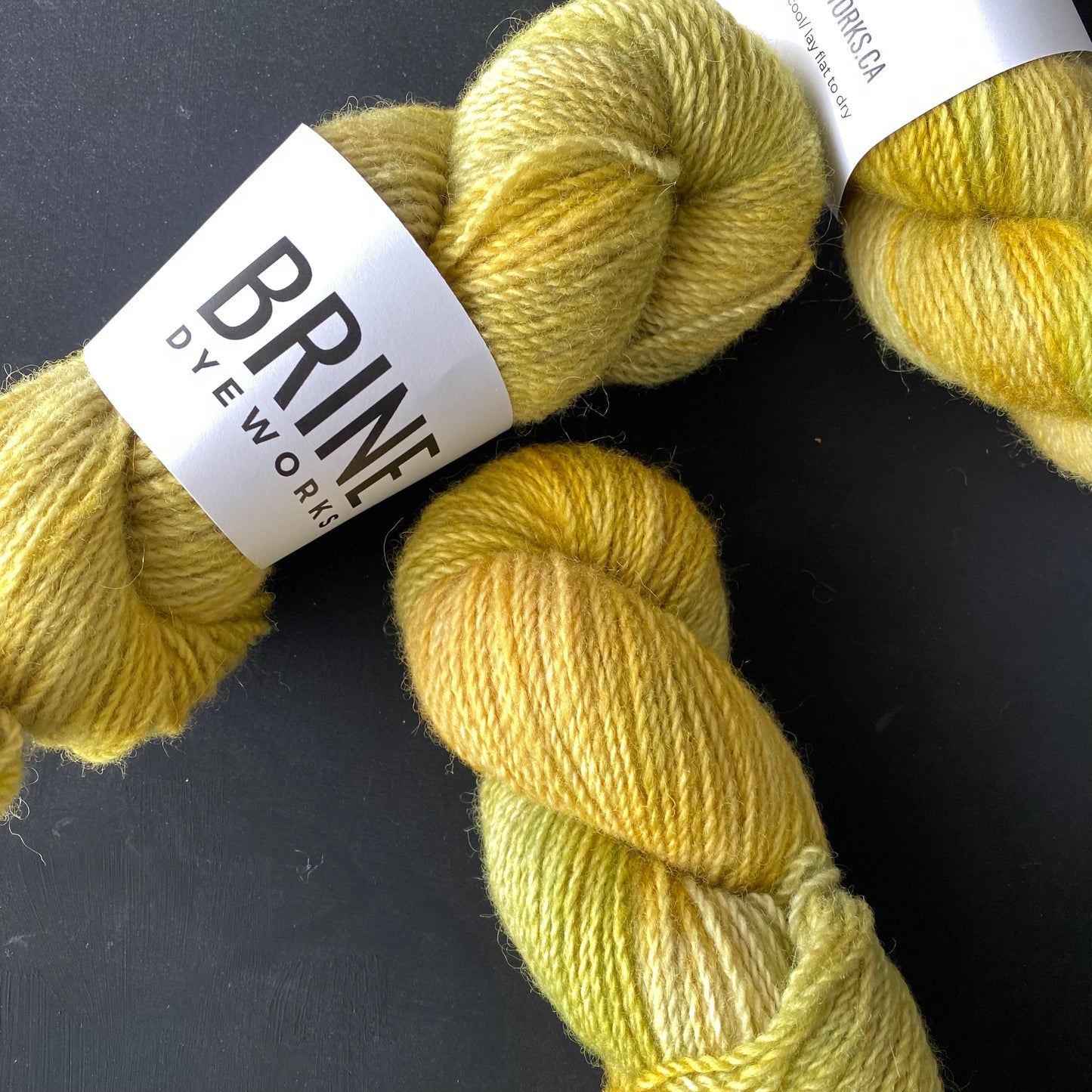 Connor on Finn DK/ Worsted