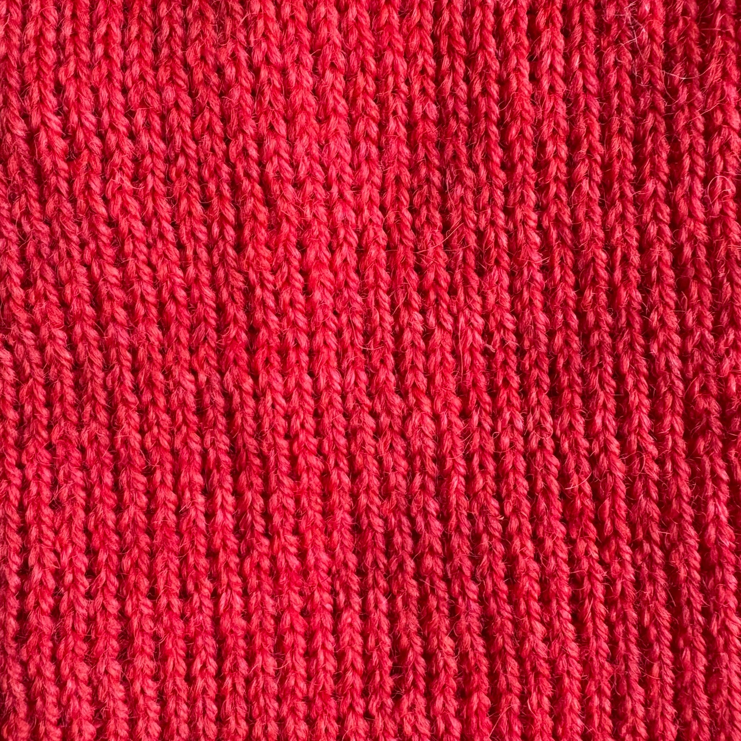 The Life Chromatic: Zissou