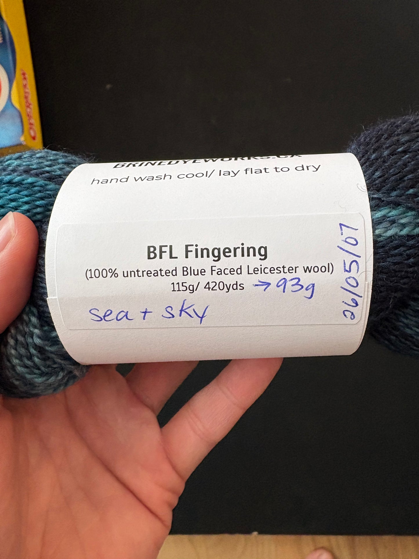 Sea & Sky on BFL Fingering - 93g skein