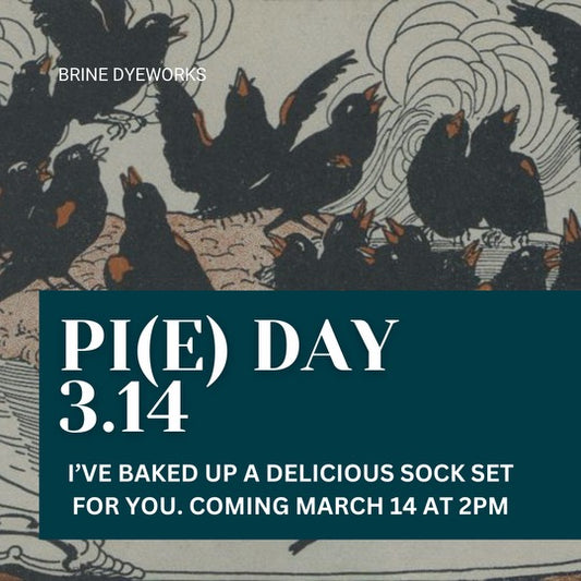Pi(e) Day Sock Set