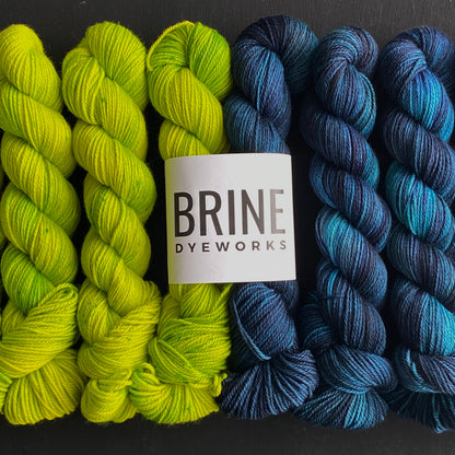 Yarn color combination 2: Sea & Sky + Algae 2.0 (deep teal and electric green). Yarn is shown in 50g skeins and also packaged as a bundle with one of each color inside the Brine Dyeworks Logo packaging.