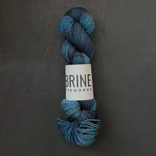 Sea & Sky on BFL Fingering - 93g skein