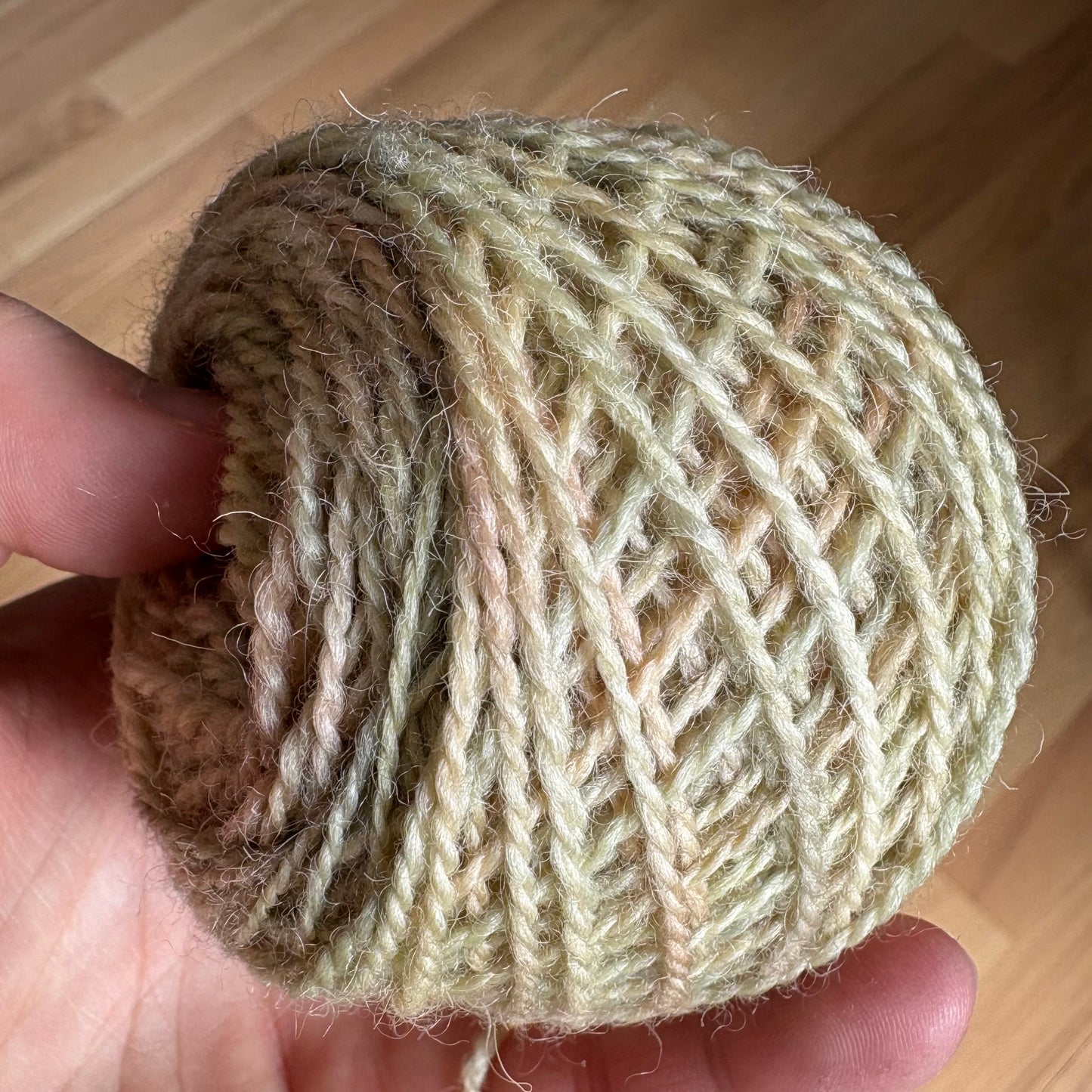 Nest - Soft Focus